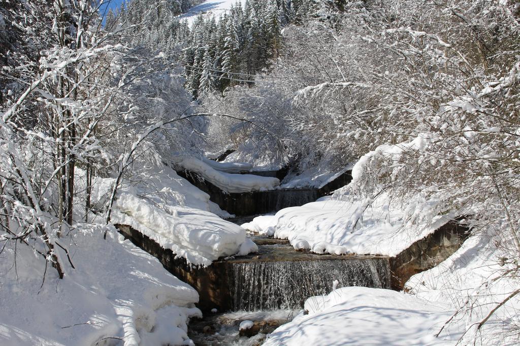 Bad Bergfallerhof Olang Екстериор снимка