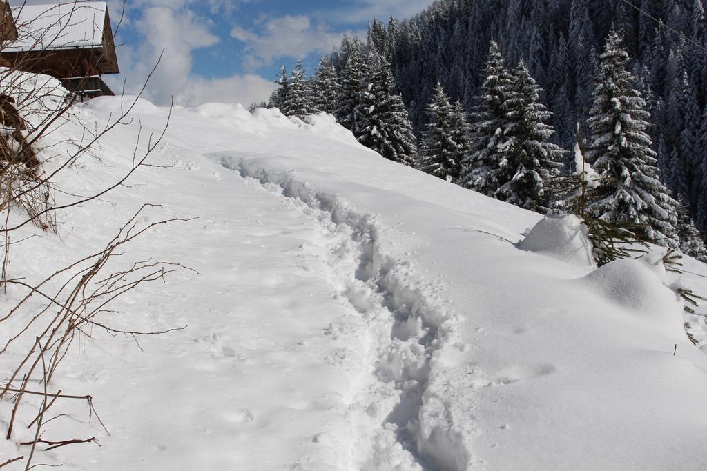 Bad Bergfallerhof Olang Екстериор снимка
